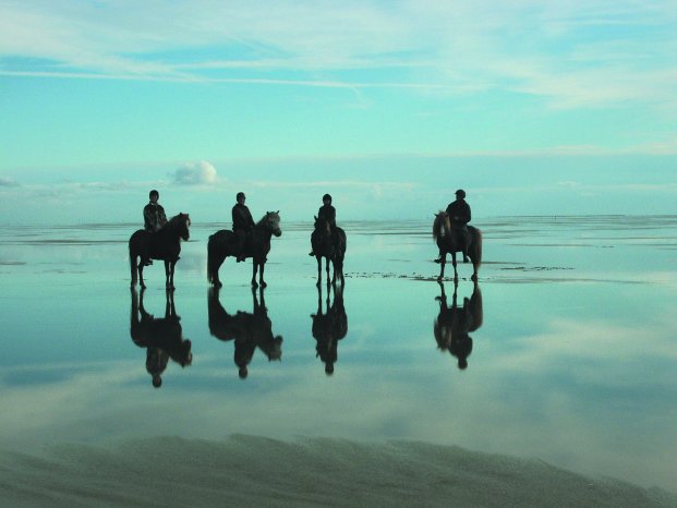 Kommandör_Reiter_Strand_Turkis.jpg