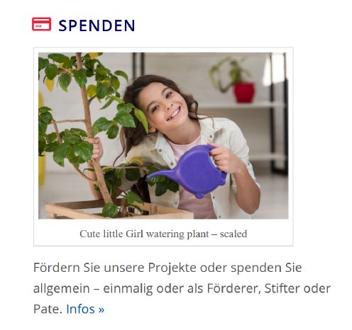 Screenshot Spenden 2025-08-26 210816.png