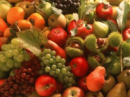 fruits and vegetables1_komprimiert.jpg