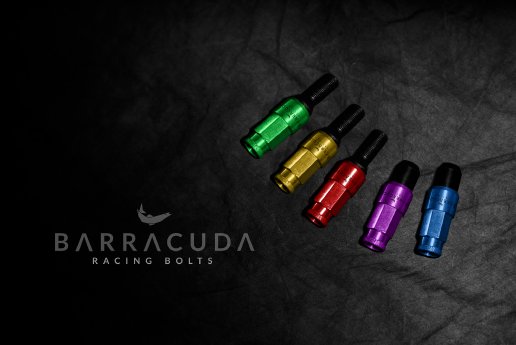 BA_RacingBolts_02.jpg