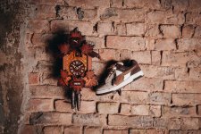 PUMA x Black Forest Slipstream Lo 