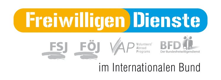 Neues Logo Freiwilligendienste.JPG