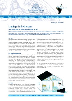 0801_GEV_Schadentelegramm_Diebstahl.pdf