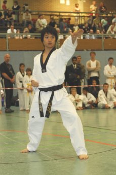 taekwondo-festival.jpg