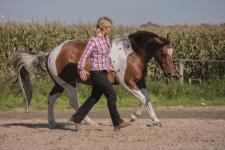 Volles Programm und über 180 Aussteller