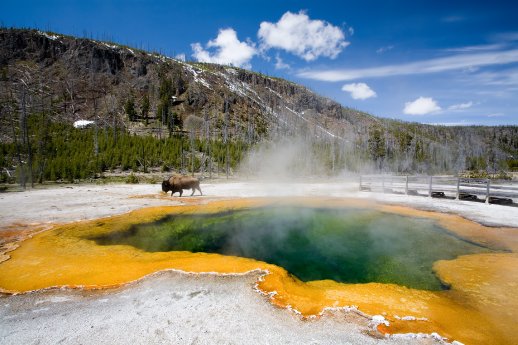 USA_Yellowstone_National_Park.jpg