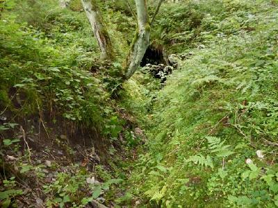 Mit einem Bagger legen die Landesforsten das Mundloch des Altenauer Hoffnungsstollen frei. Der Stolleneingang war zur Hälfte eingefallen und verstopfte den Wasserablauf / Sonnabend /NLF