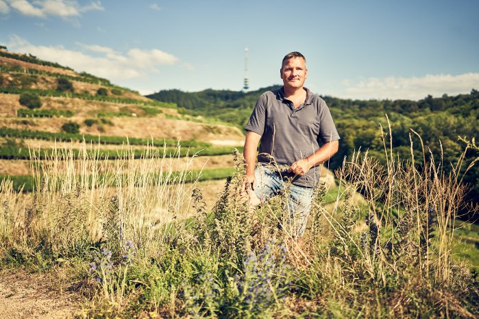 winzer in OBERBERGEN.png