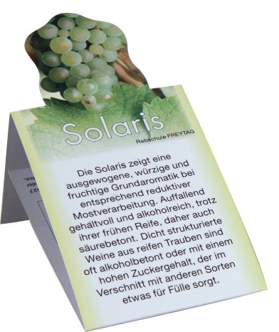Solaris-Karte.jpg
