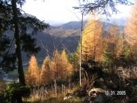 Herbst-Karwendel2[1].jpg