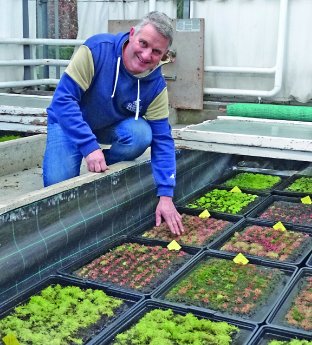 Holger Konrad.JPG