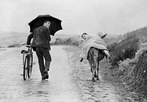 Portugal 1964, Zwei Jungen mit Fahrrad und Esel im Regen in der Tras-os-Montes Region, ©Tho.jpg