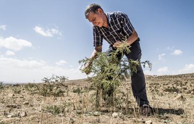 World Vision ist Partner der UN-Dekade zur Restaurierung der Ökosysteme / Foto: World Vision