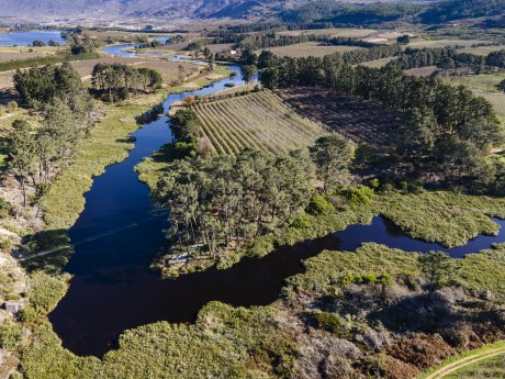 EDEKA_Pressemotiv_WW~p_Palmiet River.jpg