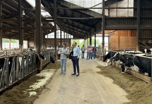 Gespräch auf der Stallgasse.JPG