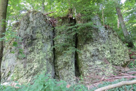 17.109.2 Geldkopf Rainrod.JPG