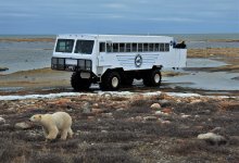 Abenteuer an der Hudson Bay