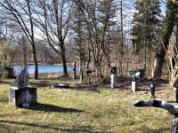 Birkenried: Skulpturenpark im Frühling