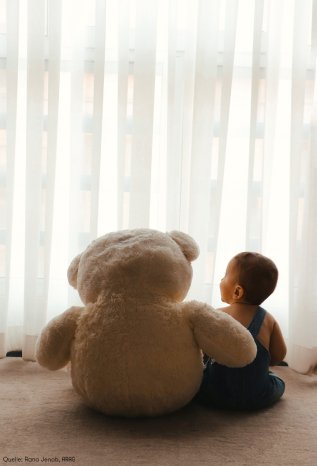 Teddy.jpg