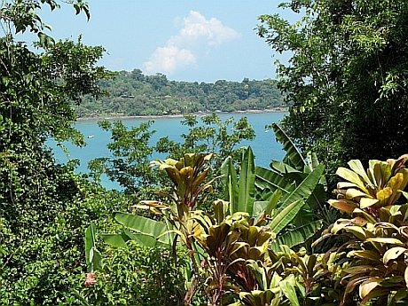 Costa Rica Regenwald - Ozean_kl.jpg