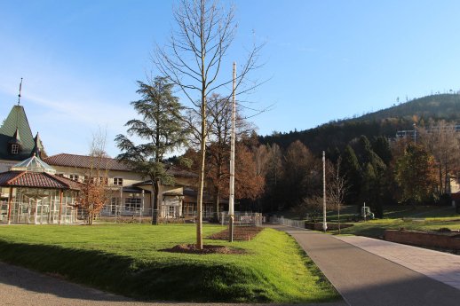 Tulpenbaum und Parrotie gepflanzt ©-Gartenschau-Bad-Herrenalb.jpg