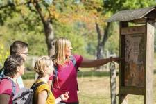 Laufend neue Aktivrouten