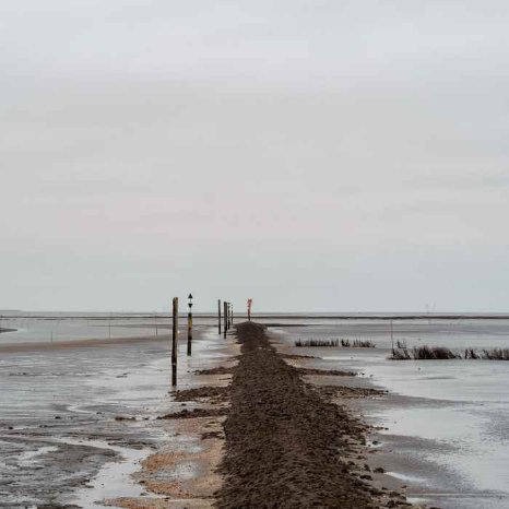 wattenmeer_1.jpg