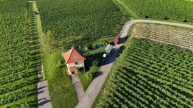 Picknick und Wein © Tourist-Information Müllheim i.M.jpg