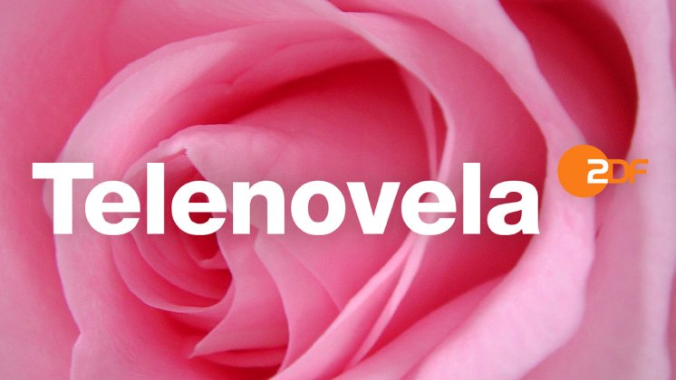 Telenovela_Beach-Channel_Logo_Rose-v.2_16x9.jpg