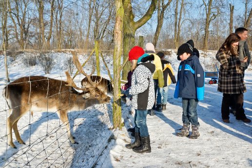 Elbauenpark_Foto_Werner_Klapper_1120206_046_klein.jpg