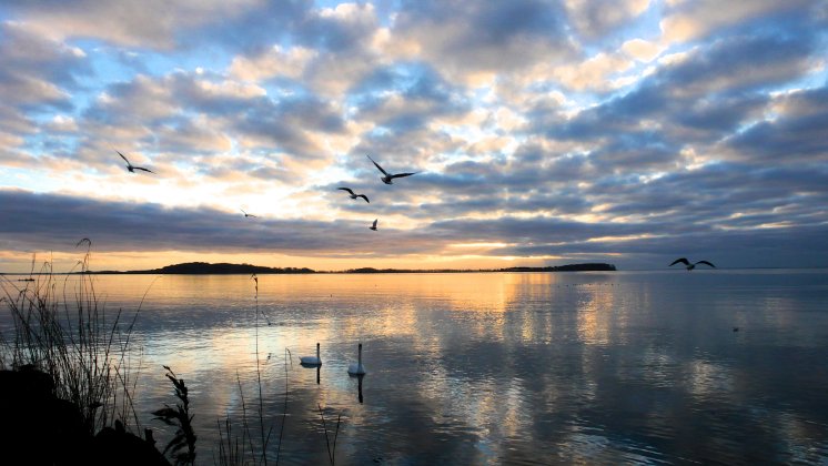 Insel Vilm Harald Dünnfelder.JPG