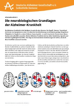 infoblatt2-neurobiologische-grundlagen-dalzg (1).pdf