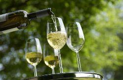 DWI mit "Leichten Weinen" auf der ProWein
