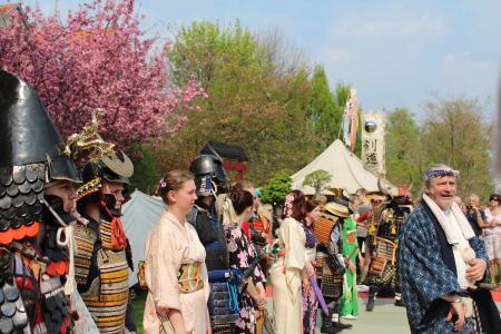 HANAMI Kirschblütenfest im Japanischen Garten