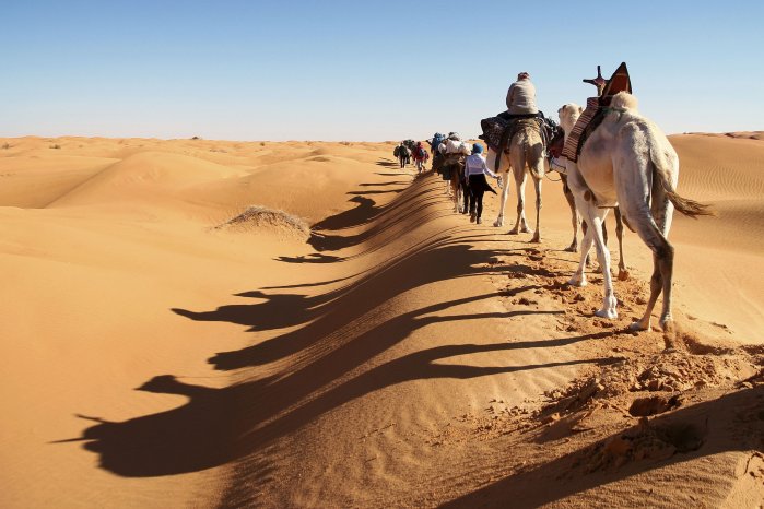 tunesien-sahara-wikinger-reisen-honorarfrei-63.jpg