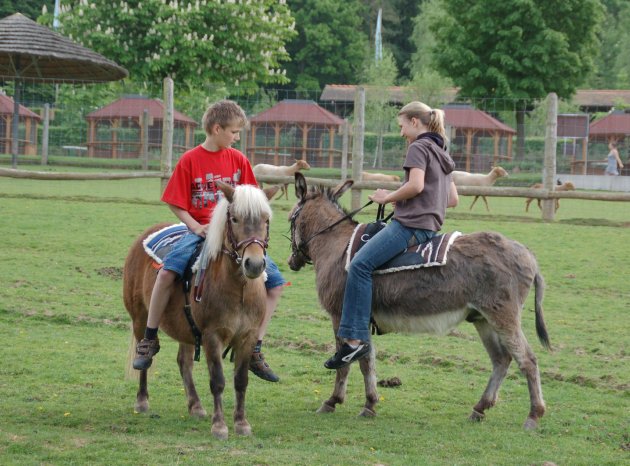 Pony und Eselreiten_2.jpg