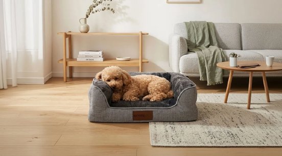 04_Orthopaedisches_Hundebett_fuer_junge_Hunde_sinnvoll_f002df55-6177-44f1-8a91-7d3c02328d7c.webp