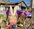 Ostern im Oberharz – buntes Erlebnisprogramm für Jung und Alt