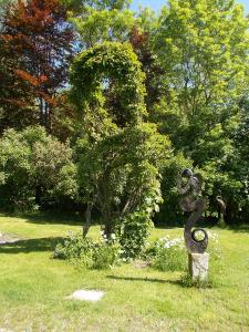 Frühlingsnatur pur: Kulturgewächshaus Birkenried bei gutem Wetter an Pfingsten geöffnet / Foto: Bernhard Eber