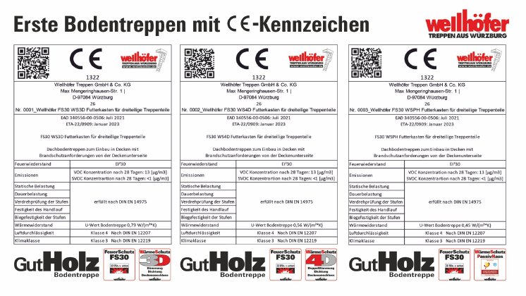 CE_Kennzeichen_GHFS30.WS3D.WS4D.WSPH_169L.jpg