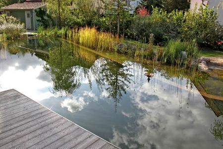 Zu einem hübschen Gartenteich gehören mehrere Pflanzen, vielleicht ein paar Fische. Aber auf jeden Fall sauberes Wasser, um das biologisches Gleichgewicht im künstlichen Ökosystem zu wahren (Foto: Wüstenrot Bausparkasse AG)