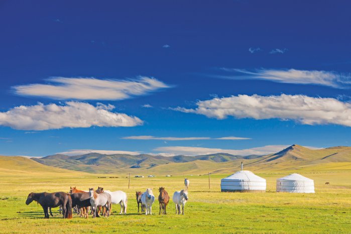 5222_Mongolei_content_1920x1080px_Pferde-im-Orchon-Tal.jpeg