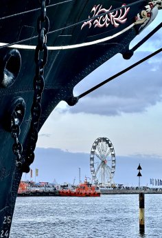 IMG_2389-scaled.jpeg