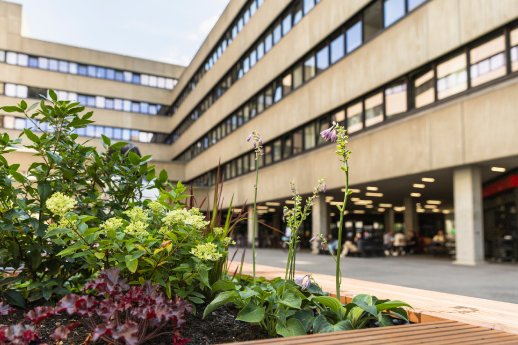 EDEKA_PRESSEMOTIV_Un~ Hamburg_Campus.jpg