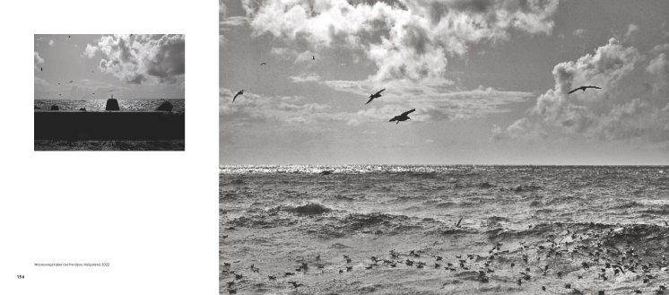 Aqua Innenseiten 2.jpg