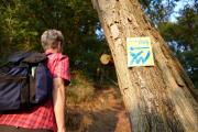 Weserbergland-Weg wieder komplett begehbar