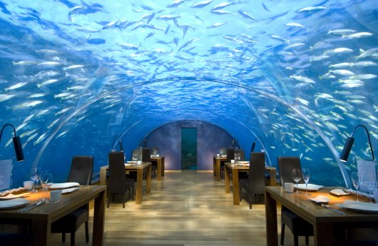 Conrad Maldives Rangali Island_Ithaa Restaurant.jpg
