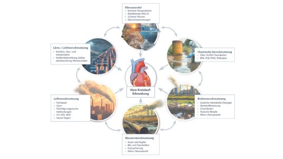 PM_Cardiovascular Research Umweltbelastungen_Grafik Mod. nach Münzel T et al_Cardiovascular.png