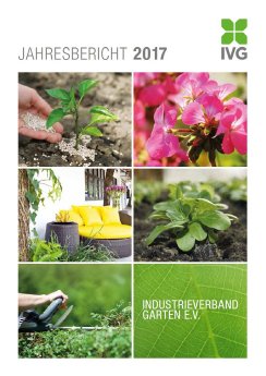 IVG Jahresbericht 2017.JPG