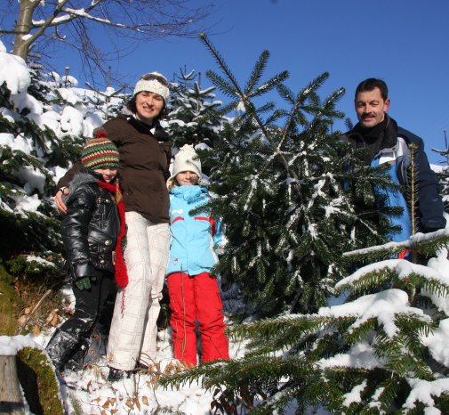 Christbaum Rechte TVB Wildschönau.jpg